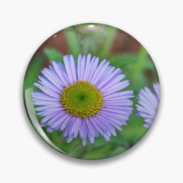 Item preview, Aster Purple Flower Stone Plant designed and sold by cool-merch.