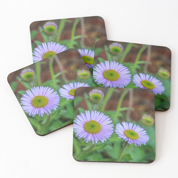 Item preview, Aster Purple Flower Stone Plant designed and sold by cool-merch.