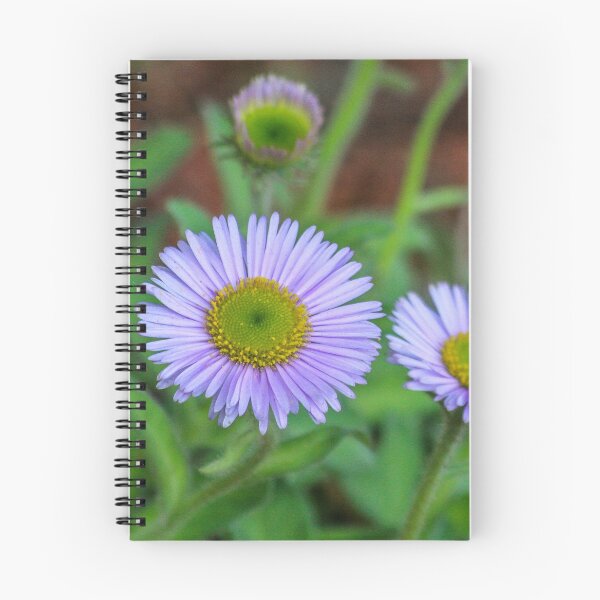 Item preview, Aster Purple Flower Stone Plant designed and sold by cool-merch.