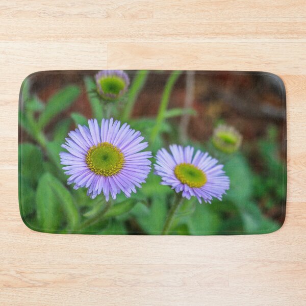 Item preview, Aster Purple Flower Stone Plant designed and sold by cool-merch.