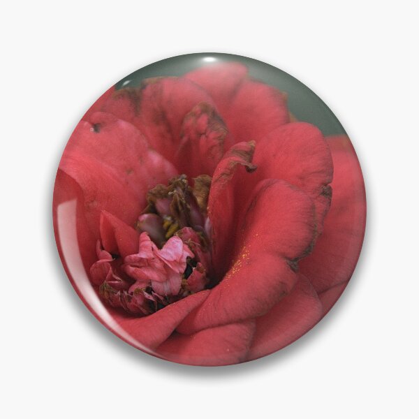 Item preview, Fallen Flower, Camellia, Ashburnham Place, Sussex. designed and sold by Billlee.