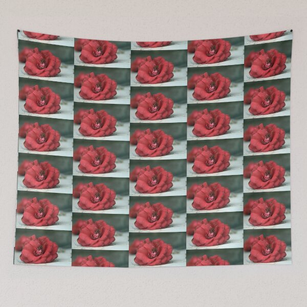 Item preview, Fallen Flower, Camellia, Ashburnham Place, Sussex. designed and sold by Billlee.
