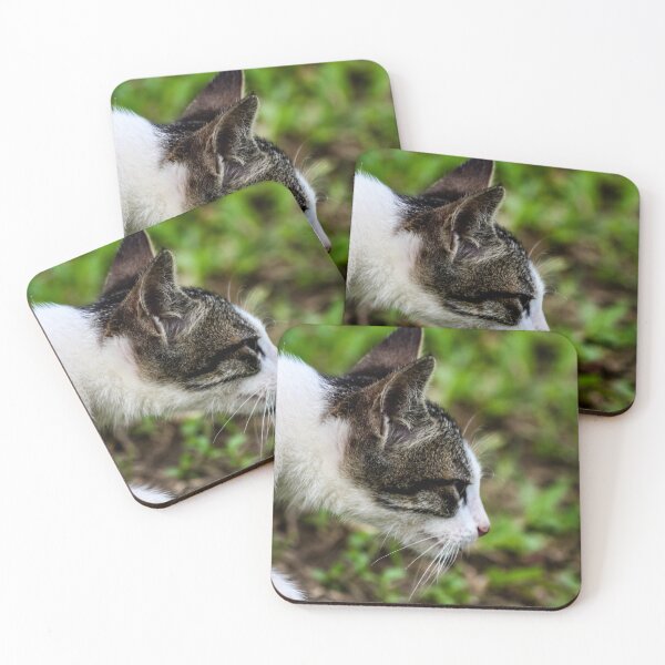 Item preview, Shorthaired Cat for Cat Lovers designed and sold by cool-merch.