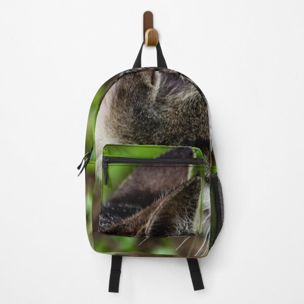 Item preview, Shorthaired Cat for Cat Lovers designed and sold by cool-merch.