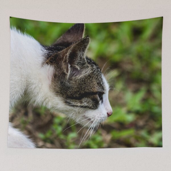 Item preview, Shorthaired Cat for Cat Lovers designed and sold by cool-merch.