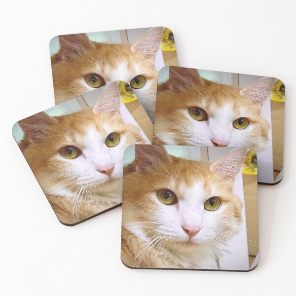 Item preview, hallo! i'm norwegian forest cat. designed and sold by AnahiRitchie.