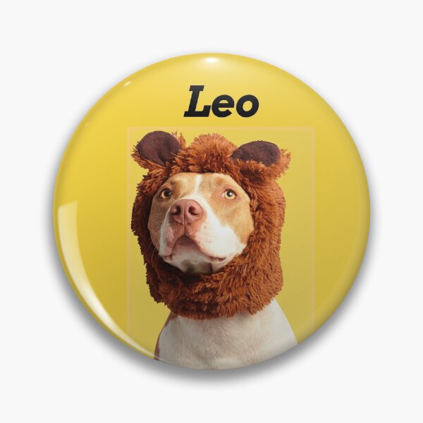 Artikelvorschau, Dog in lion costume, funny pictures of dogs entworfen und verkauft von Zuepfelmuetzen.