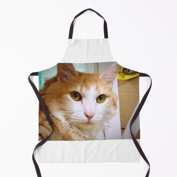 Item preview, hallo! i'm norwegian forest cat. designed and sold by AnahiRitchie.