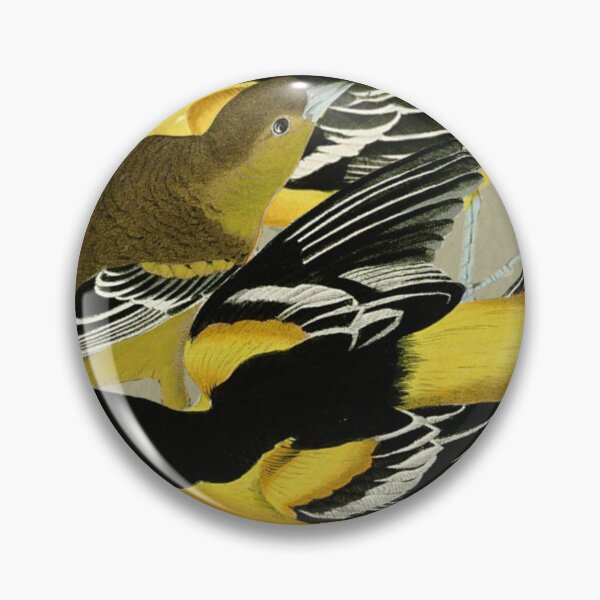 Item preview, Audubon's Baltimore oriole 2 designed and sold by Herons.