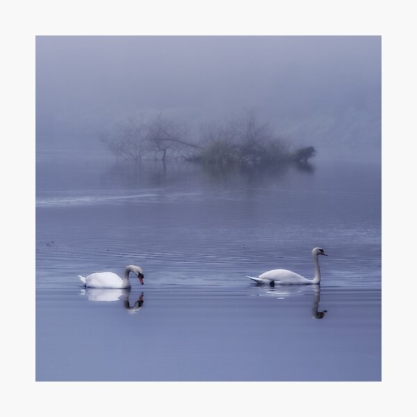Together for life Photographic Print