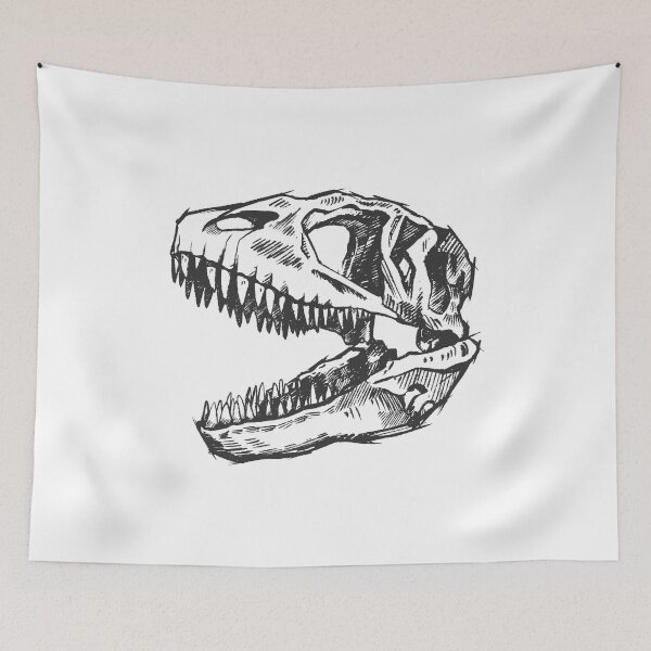 Item preview, Dinosaur skull | Carcharodontosaurus dino skeleton designed and sold by DerSenat.
