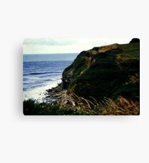 Stormy Seas Canvas Print