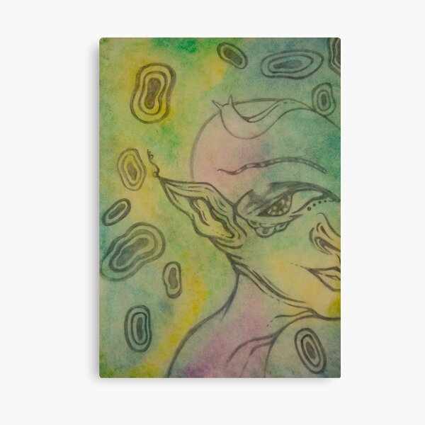 Rainforest fairy Canvas Print