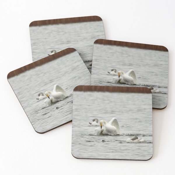 Item preview, The kids are so headless and I am so tired on that. Whooper swans designed and sold by Jouko Lehto Photography.