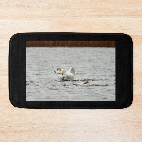 Item preview, The kids are so headless and I am so tired on that. Whooper swans designed and sold by Jouko Lehto Photography.