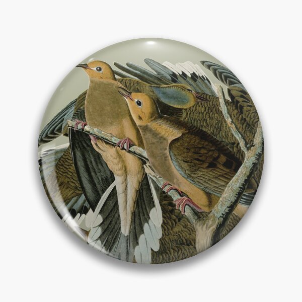 Item preview, Audubon's Carolina turtle dove designed and sold by Herons.