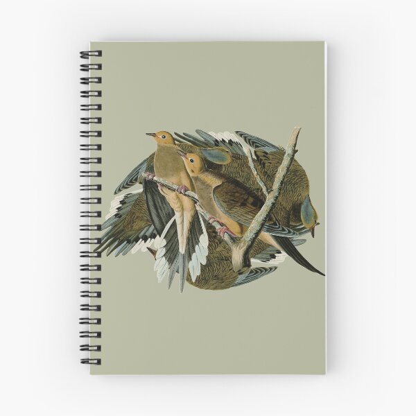 Item preview, Audubon's Carolina turtle dove designed and sold by Herons.