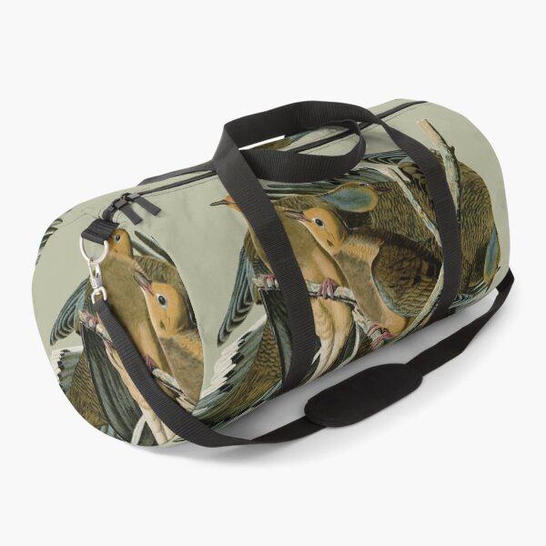 Item preview, Audubon's Carolina turtle dove designed and sold by Herons.