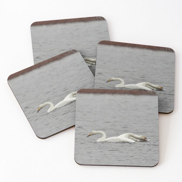 Item preview, Together and close. Whooper swans designed and sold by Jouko Lehto Photography.