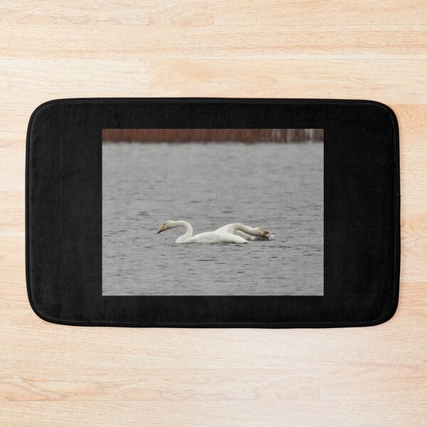 Item preview, Together and close. Whooper swans designed and sold by Jouko Lehto Photography.