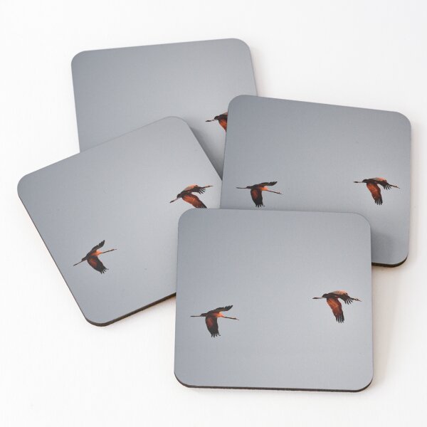 Item preview, "in flight" designed and sold by Andreas Koerner.