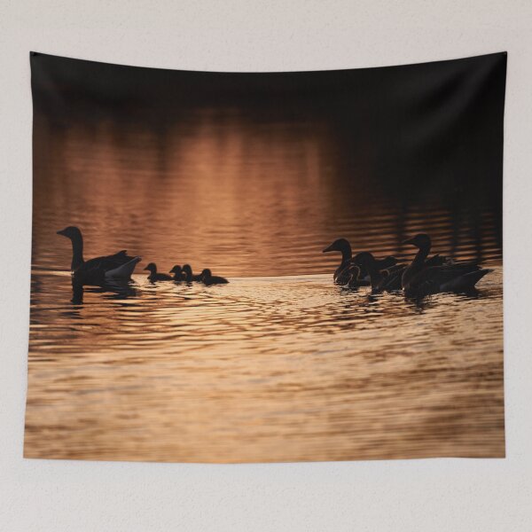 Item preview, "evening greylag goose excursion" designed and sold by Andreas Koerner.