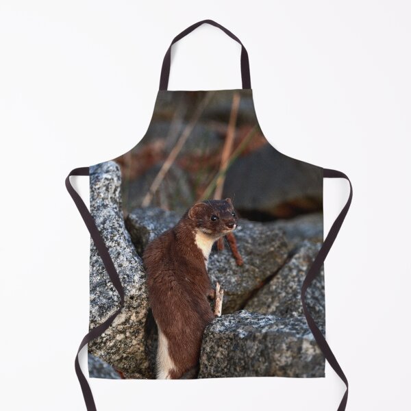 Item preview, "posing weasel" designed and sold by Andreas Koerner.