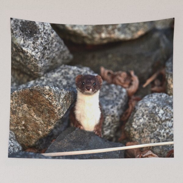 Item preview, "this is my territory" designed and sold by Andreas Koerner.