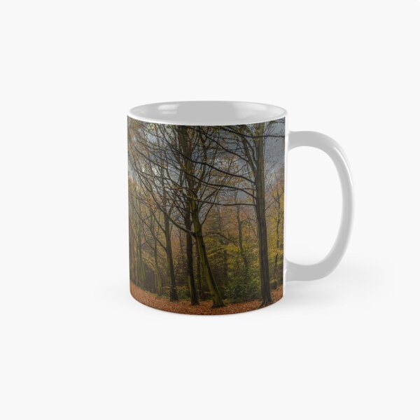 Item preview, FELBRIGG PARK NORFOLK designed and sold by David Vincent.
