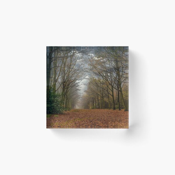 Item preview, FELBRIGG PARK NORFOLK designed and sold by David Vincent.