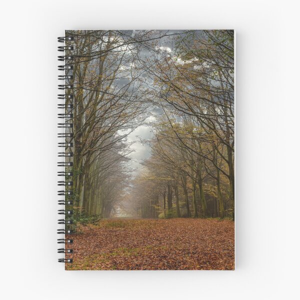 Item preview, FELBRIGG PARK NORFOLK designed and sold by David Vincent.
