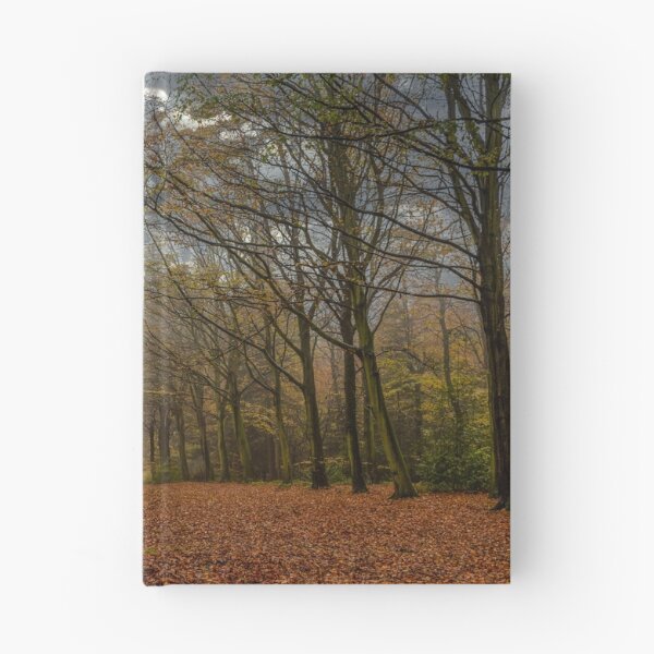 Item preview, FELBRIGG PARK NORFOLK designed and sold by David Vincent.