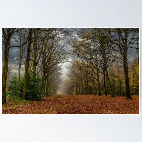 Item preview, FELBRIGG PARK NORFOLK designed and sold by David Vincent.