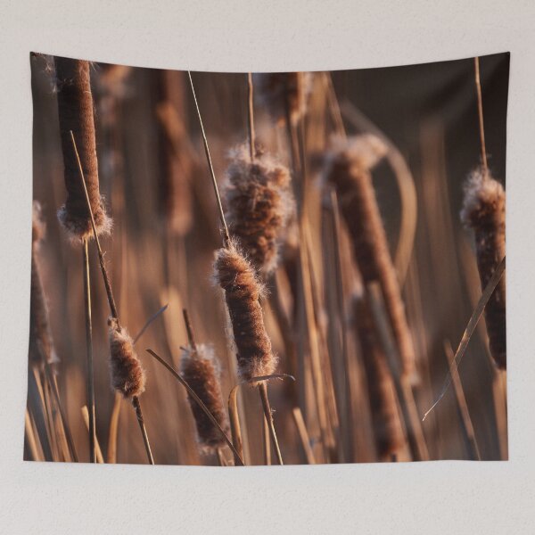 Item preview, "in the cradle of the evening sun" designed and sold by Andreas Koerner.