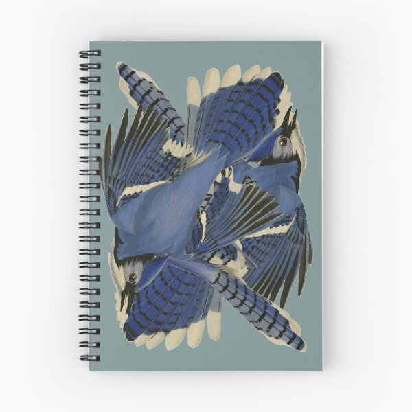 Item preview, Audubon's blue jay designed and sold by Herons.