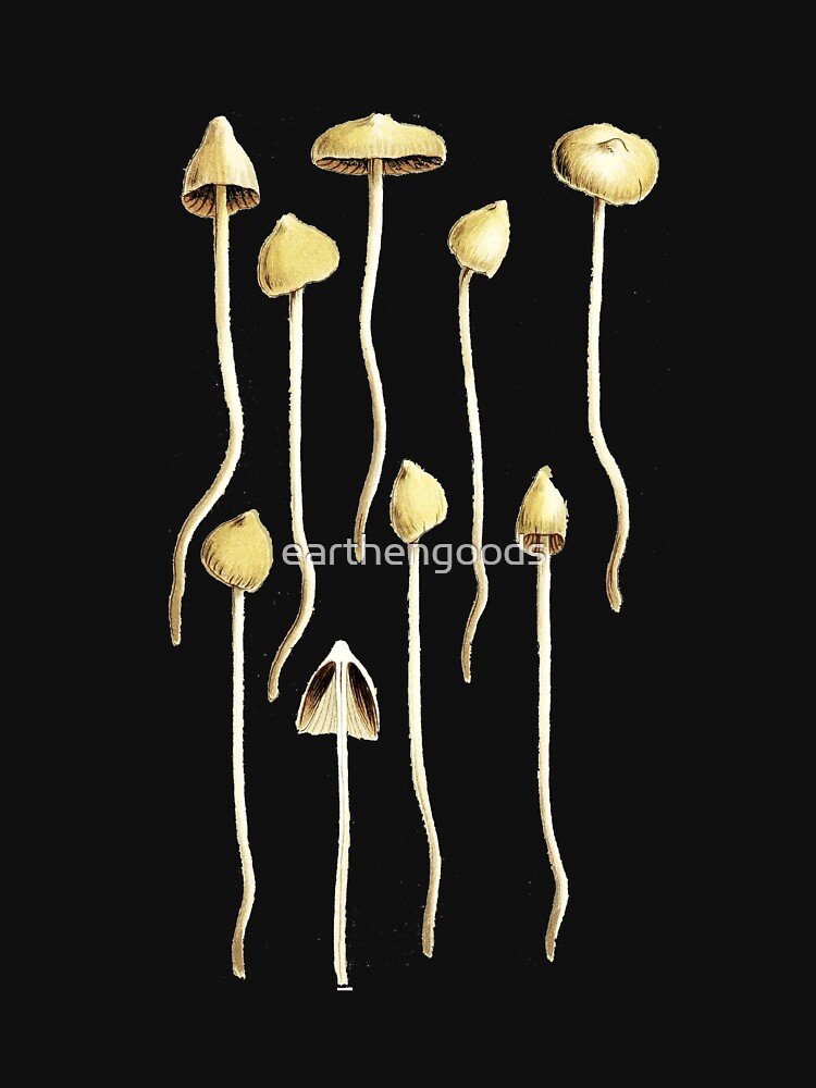 Thumbnail 7 of 7, Classic T-Shirt, Magic Mushrooms, Liberty Caps, Psilocybe Semilanceata, Mycology, Foraging, Toadstool, Fungus, Shrooms, Botanical Illustration, Woodland Fungi, Fairy Shrooms designed and sold by earthengoods.