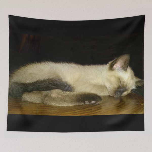 Item preview, the kitten's sleep designed and sold by TessAndre.