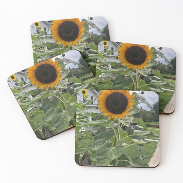 Item preview, Sunflower in the City designed and sold by Jelly Turnip.