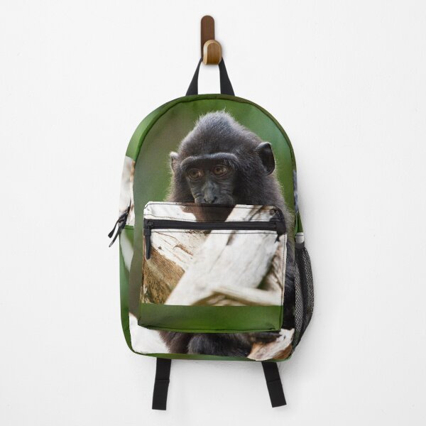 Item preview, "The Celebes crested macaque of Tangkoko National Park" 11 of 11 designed and sold by Andreas Koerner.