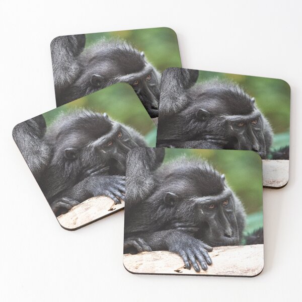 Item preview, "The Celebes crested macaque of Tangkoko National Park" 9 of 11 designed and sold by Andreas Koerner.