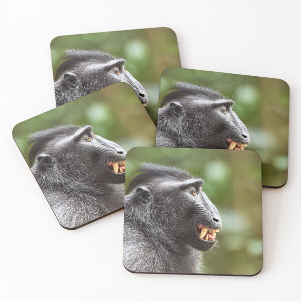 Item preview, "The Celebes crested macaque of Tangkoko National Park" 8 of 11 designed and sold by Andreas Koerner.