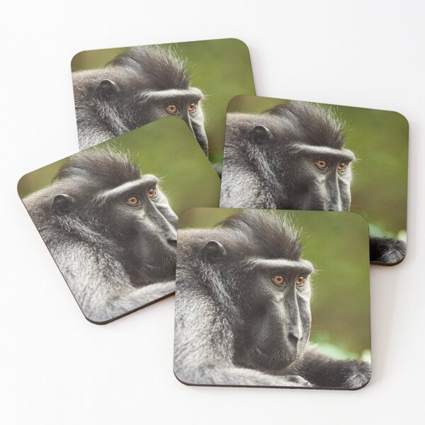 Item preview, "The Celebes crested macaque of Tangkoko National Park" 7 of 11 designed and sold by Andreas Koerner.