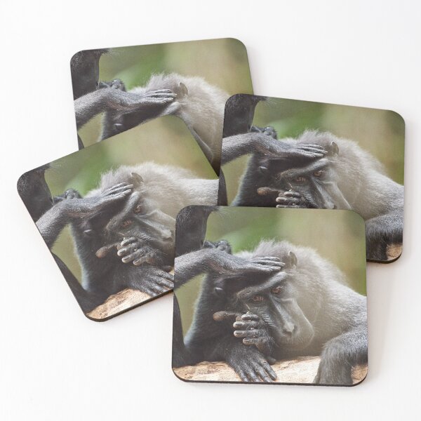 Item preview, "The Celebes crested macaque of Tangkoko National Park" 5 of 11 designed and sold by Andreas Koerner.