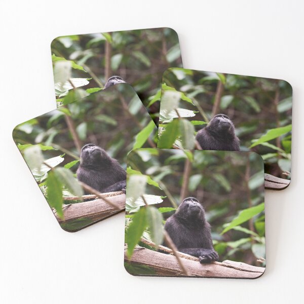 Item preview, "The Celebes crested macaque of Tangkoko National Park" 4 of 11 designed and sold by Andreas Koerner.