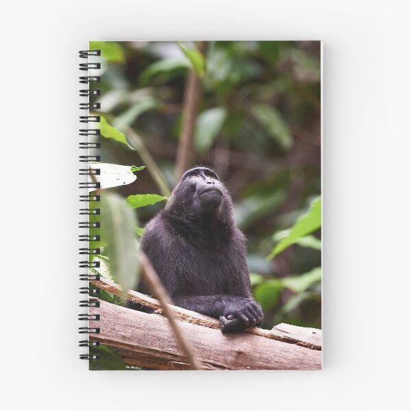 Item preview, "The Celebes crested macaque of Tangkoko National Park" 4 of 11 designed and sold by Andreas Koerner.