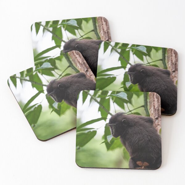 Item preview, "The Celebes crested macaque of Tangkoko National Park" 3 of 11 designed and sold by Andreas Koerner.