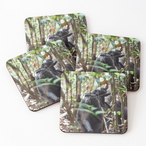 Item preview, "The Celebes crested macaque of Tangkoko National Park" 2 of 11 designed and sold by Andreas Koerner.