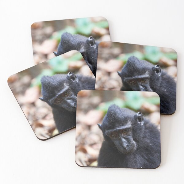 Item preview, "The Celebes crested macaque of Tangkoko National Park" 1 of 11 designed and sold by Andreas Koerner.