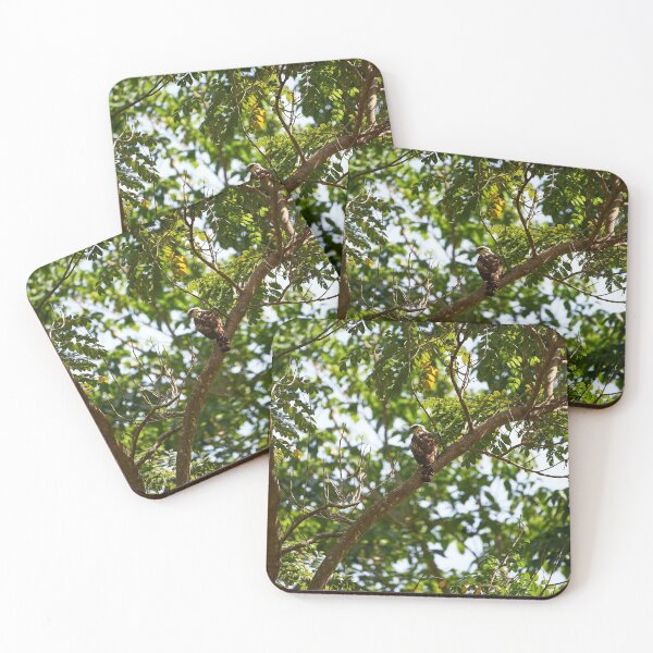 Item preview, "Impressions from the Manembo Nembo Nature Reserve of North Sulawesi" 5 of 5 designed and sold by Andreas Koerner.