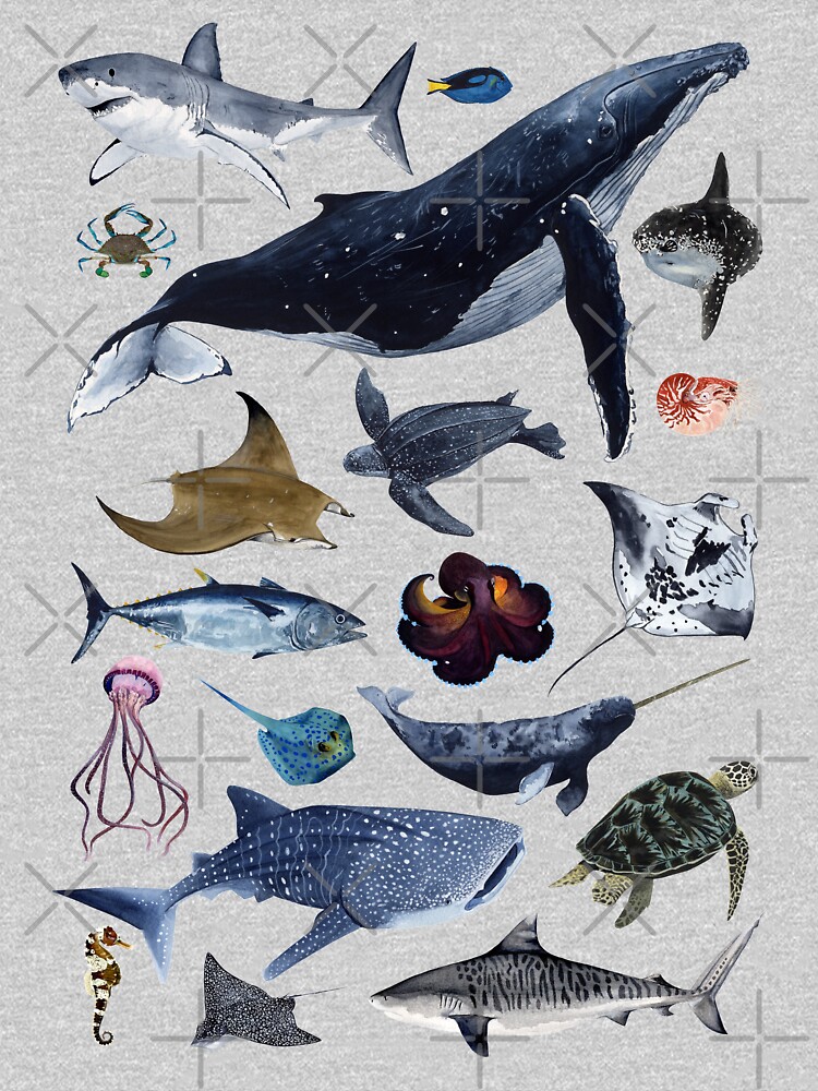 SEA CREATURES by bananaflamingo